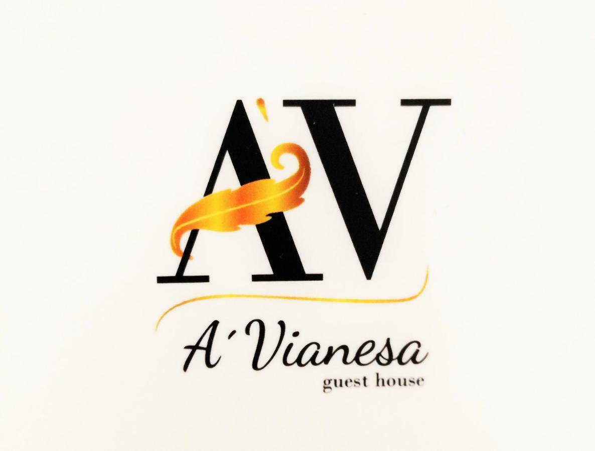 A Vianesa - Guest House Viana do Castelo Bagian luar foto